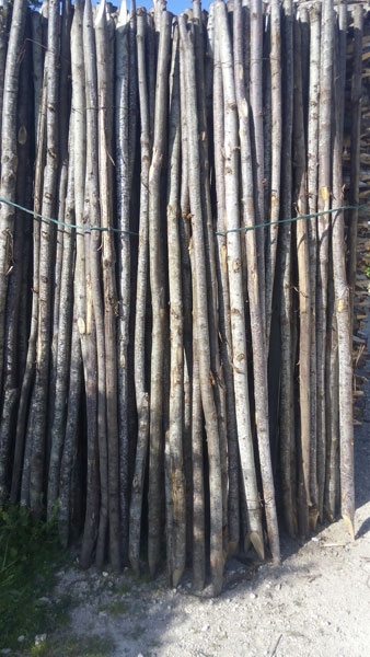 Pali in legno castagno per sostegno alberi con punta